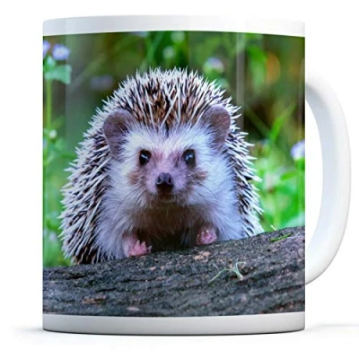 Image of Cute Cheeky Hedgehog Drinks Mug Cup Kitchen Birthday Office Fun #14322