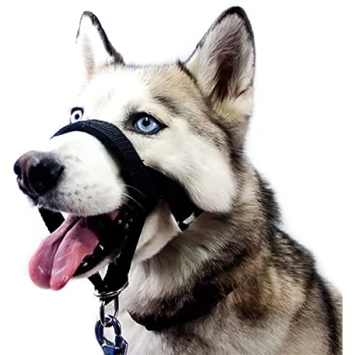 Image of Dog Head Collar, Muzzle,Head Halter Collar for Dogs,No Pull Training Tool Dogs on Walks,Headcollar Medium Large Dogs.Five Sizes (XL)