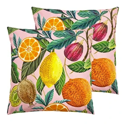 Image of Evans Lichfield Citrus Outdoor Cushions (Twin Pack) Multicolour One Size