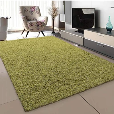 Image of SANAT Modern Living Room Rug High Pile Light Green Size: 80 x 150 cm