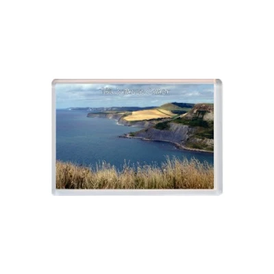 Image of Jurassic Coast Dorset Novelty Jumbo Fridge Magnet ID050