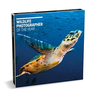 Image of Museums &amp; Galleries Wildlife Photographer of the Year In Deep Blue 8 Square Notecards Wallet
