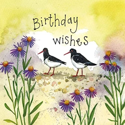 Image of Alex Clark Art Birthday Wishes Oystercatchers Foil Card