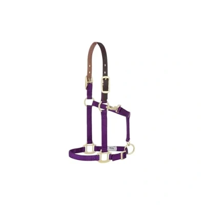 Image of Weaver Leather Nylon Adjustable Breakaway Horse Halter, Small, Purple