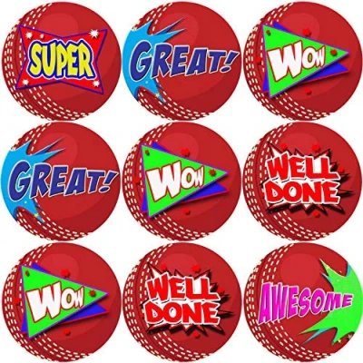 Image of 144 Cricket Praise Words 30 mm Reward Stickers for School Teachers, Parents