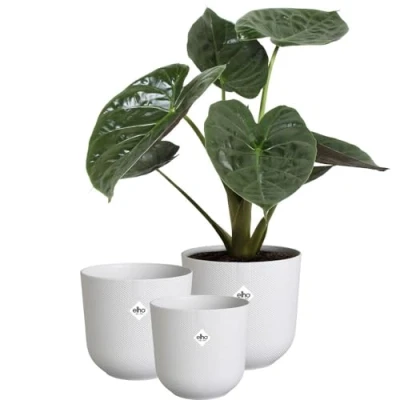 Image of elho Jazz Round Flower Pots Indoor Plant 100% Recycled Plastic Unique Structure Set of 3 Ø 14, 16, 19 cm White/Silky White