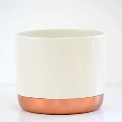 Image of Two Tone White &amp; Rose Gold Small Ceramic Plant Flower Pot Round Modern Stylish Simple Design for Indoor House Plants Succulents 1 x Pots by Thompson and Morgan