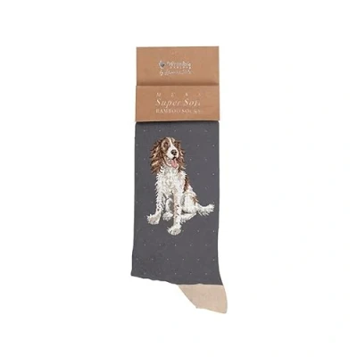 Image of Wrendale Designs Willow&#039; Spaniel Men&#039;s Sock
