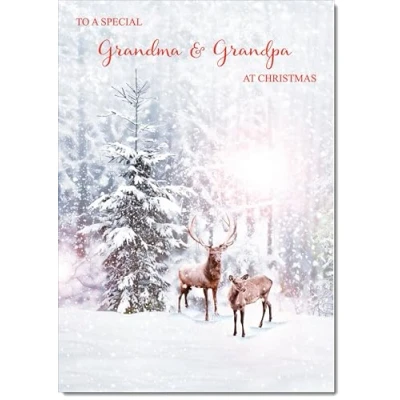 Image of doodlecards Grandma and Grandpa Christmas Card Deers in Forest Medium Size for &amp; with Plain Envelope