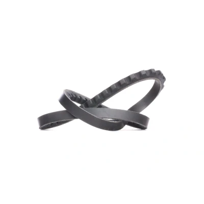 Image of 7700273239, 7700348137, 7700567694, 7700615317, 7700622509 V Belt DAYCO 10A0665C 10,0mm 665,0mm VOLKSWAGEN: GOLF 2, Corrado, RENAULT: 4 Estate