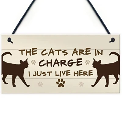 Image of RED OCEAN The Cats Are In Charge Hanging Sign Funny Cat Gift Home Decor For Women