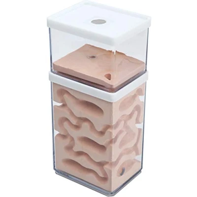 Image of aleawol Natural Ant Farm Nest Formicarium Made of Plaster Transparent House Breeding Box Ants Terrarium Habitat