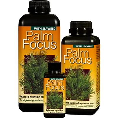 Image of Palm Focus 300ml &amp; Free pippet Growth Technology