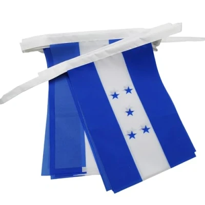 Image of AZ Flag Honduras Bunting 20 Ft Garland with Small Honduran Flags 8&#039;&#039; x 6&#039;&#039; 100% Polyester String Pennant 6 meters