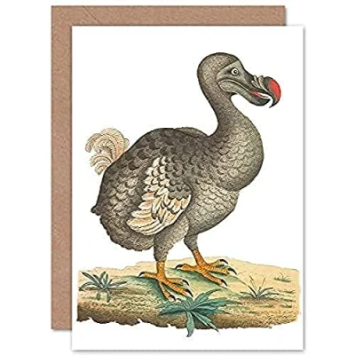 Image of Fine Art Prints Bird Dodo Vintage Illustration Greeting Card With Envelope Inside Premium Quality