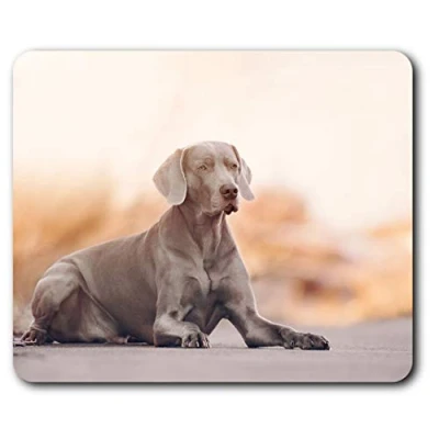Image of Large Weimaraner Dog Puppy Mouse Mat Pad Computer PC Laptop Gaming Office Home Desk Accessory Gadget 16229