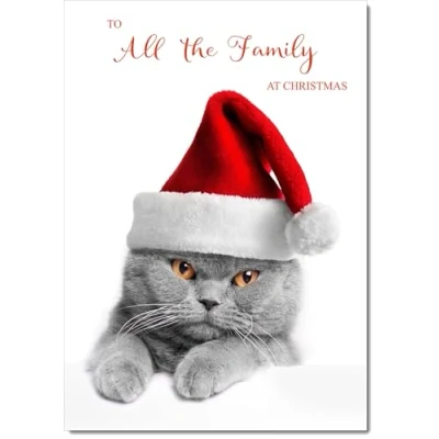 Image of doodlecards To All The Family Christmas Card Cat with Santa Hat Medium Size Plain Envelope