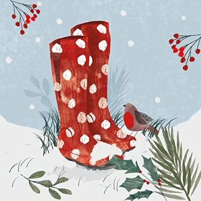 Image of Pack of 8 Robin &amp; Winter Wellies Samaritans Charity Christmas Cards Xmas 556998
