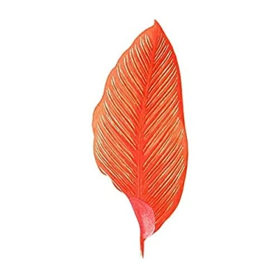 Image of Wee Blue Coo Botanics Red Orange Fine Stripes Unframed Art Print Poster Wall Decor 12x16 inch