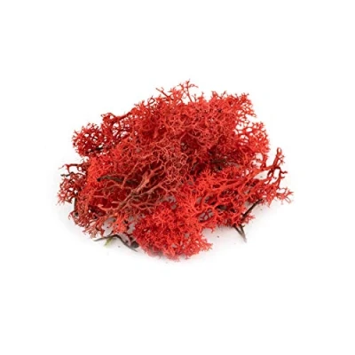 Image of War World Scenics Lichen Red Moss Model Foliage 60g Railway Wargame Scenery Landscape Modelling Trees Bushes Hedges Diorama Basing Material