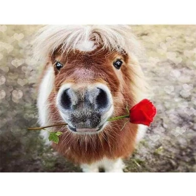 Image of Diamond Painting Pony Horse Tango 30x40cm/12 * 16in Full Drill DIY 5D Embroidery for Adults/Kids Large Size Crystal Rhinestone Cross Stitch Mosaic Canvas Wall Art Decoration