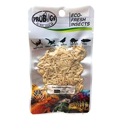 Image of ProBugs Eco Fresh Insects Riceworms 15g