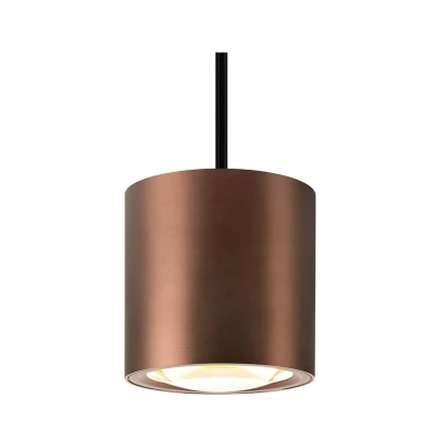 Image of SLV Oculus Pendant Dark Copper