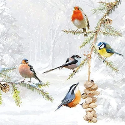 Image of Ambiente 3 Ply Paper Napkins Birds Meeting