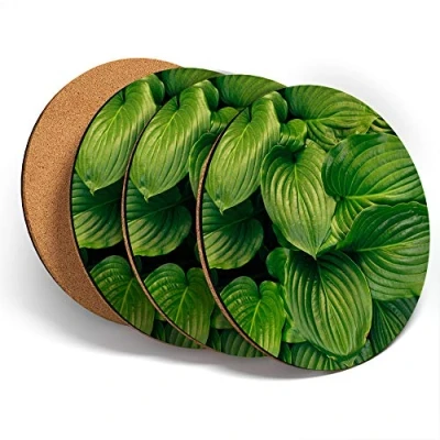 Image of Destination Vinyl ltd Great Coasters (Set of 4) Round Dark Green Leaves Plant Leaf Garden Drink Glossy Coasters/Tabletop Protection for Any Table Type #44843