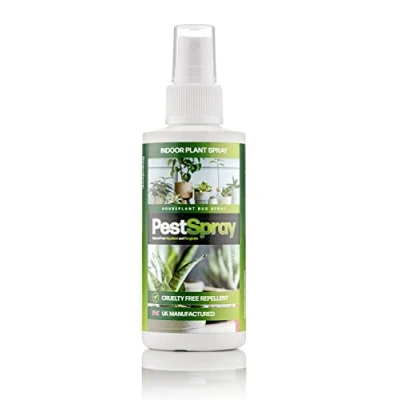 Image of EFA International Houseplant Bug Spray, PestSpray, Natural Pest Repellent &amp; Fungicide, Plant Control Repellent, Peppermint Oil Indoor Plants, 150ml Spray Bottle