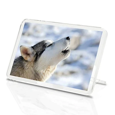 Image of 1 x Fridge Magnet Howling Husky Wolf Classic Wild Wolves Dog Winter #8556