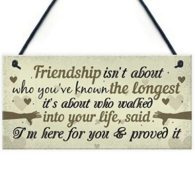 Image of RED OCEAN Friendship Plaques Gifts For Women Girls Best Friend Christmas Birthday THANK YOU Hanging Sign Gift Her Him