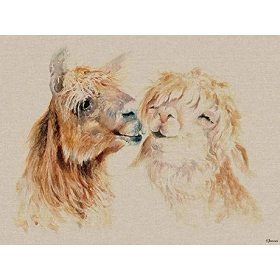 Image of Jane Bannon Sweet Nothings Canvas Print, Multi Colour, 60 x 80 cm