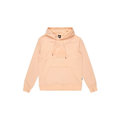 Image of Quiksilver COMP Hoodie, Size: Small, Mef