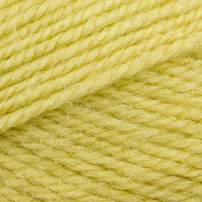 Image of Stylecraft Life DK 100g (2356 Zing)