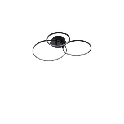 Image of Lindby Rayk LED ceiling light, matt black