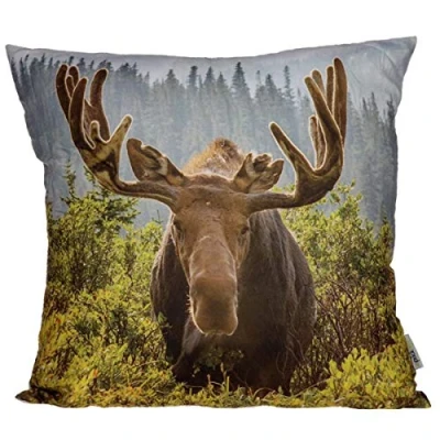 Image of Puckator Moose Photograph Cushion, Bedroom, Living Room, Kitchen, Home Décor 45x45cm Polyester Cover 50x49x10cm Insert