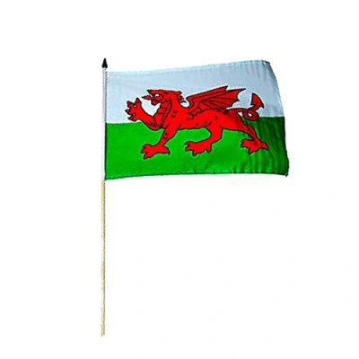 Image of Novelties Direct Wales/Welsh Polyester Hand Held Flag (Size 45cm Length x 30cm Wide)