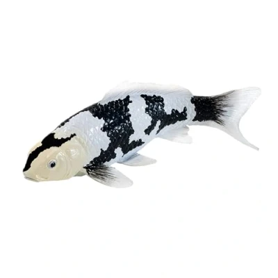 Image of Koi Carp Shiro Utsuri