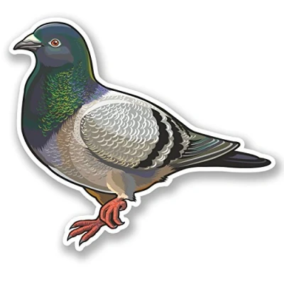 Image of 2 x Pigeon Vinyl Sticker iPad Laptop Car Motorbike Carrier Bird Fun #4648 (10cm Wide 8.8cm Tall)