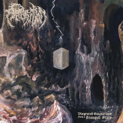 Image of Disgraced Emanations From A Tranquil State [VINYL]