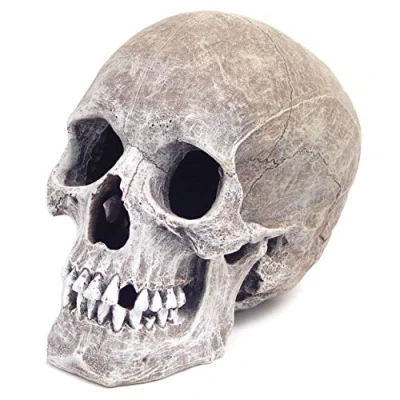 Image of Blue Ribbon Rosewood Life Like Human Skull Aquarium Decor,5&quot; x 7 1/2&quot; 6&quot;,Blacks &amp; Grays
