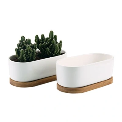 Image of T4U 17CM Ceramic White Modern Oval Design Succulent Plant Pot/Cactus Pot With Bamboo Tray Package 1 Pack of 2