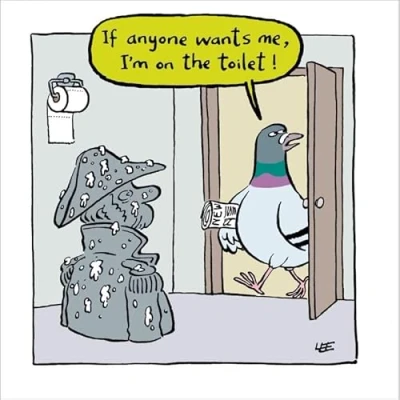 Image of Funny Birthday Card I’m On The Toilet Hilarious Pigeon Cartoon Greeting