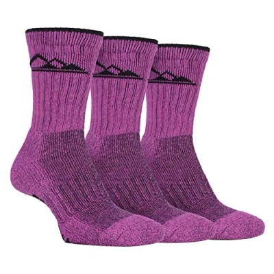Image of Storm Bloc 3 Pairs Ladies Cushion Sole Breathable Comfort Outdoor Cotton Rich Hiking Boot Socks (4 8 uk, SBLS030CER)