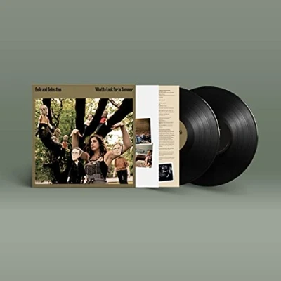 Image of Belle &amp; Sebastian What To Look For In Summer 2020 UK 2 LP vinyl set OLE1638LP