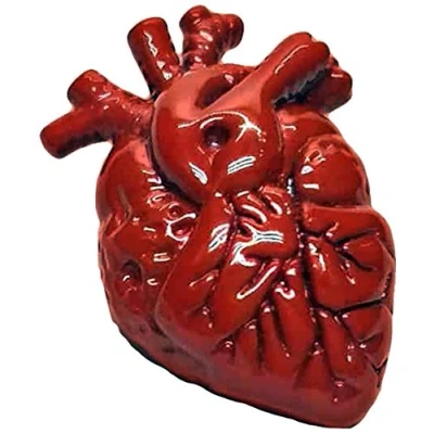 Image of GTR Prestige Giftware Anatomical Red Heart Surgeons Lapel Pin Badge X2AJTP120