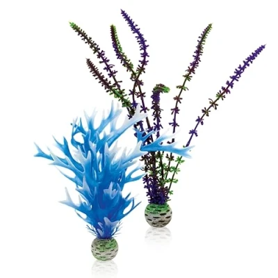 Image of biOrb Plant Set M blue &amp; purple