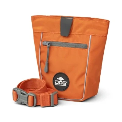 Image of DOG Copenhagen Go Explore Treat Bag, Orange Sun, One Size