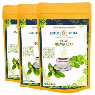 Image of Guava Leaves Tea 60 Bags Pure Leaf Diabetic Diet weight Management Herbal